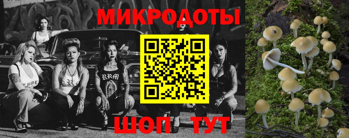 Галлюциногенные грибы Cubensis Карачаевск