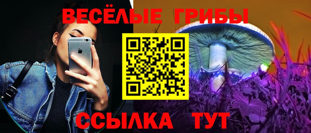 Карачаевск  Псилоцибиновые грибы MAGIC MUSHROOMS  где купить наркоту  Вход с VPN 